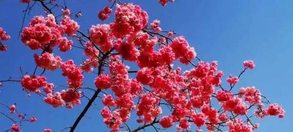 初中學生家庭教育的重要性_初中重要性家庭教育學生怎么寫_初中孩子的家庭教育重點