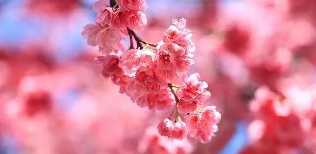 初中重要性家庭教育學生怎么寫_初中孩子的家庭教育重點_初中學生家庭教育的重要性