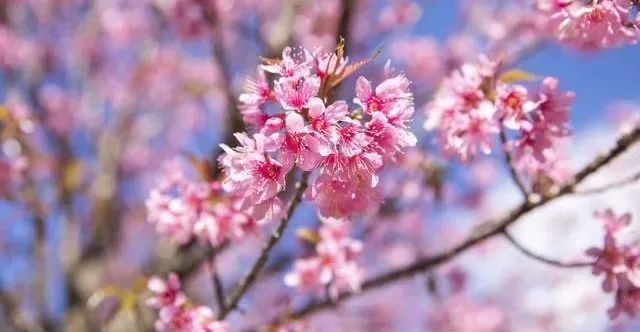 初中孩子的家庭教育重點_初中學生家庭教育的重要性_初中重要性家庭教育學生怎么寫