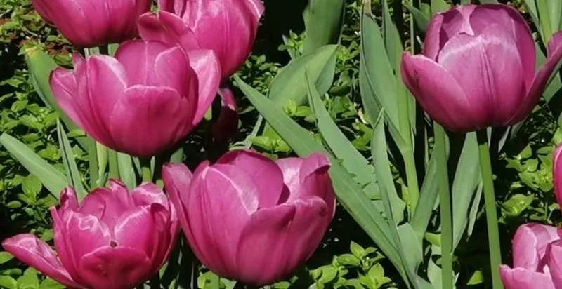 初中重要性家庭教育學生怎么寫_初中孩子的家庭教育重點_初中學生家庭教育的重要性